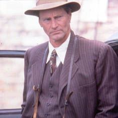 Bilder Schnee, der auf Zedern fällt