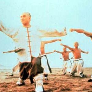 Bilder Die schwarzen Tiger von Hongkong