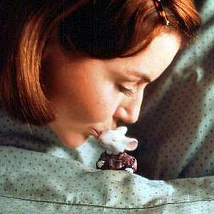 Bilder Stuart Little