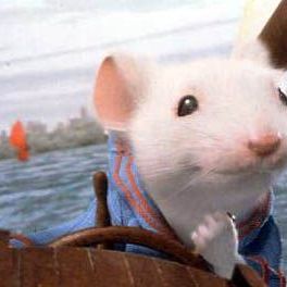 Bilder Stuart Little