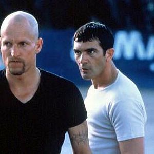 Bilder Knocked Out – Eine schlagkräftige Freundschaft