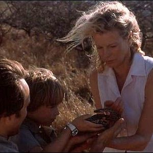 Bilder Ich träumte von Afrika