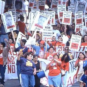 Bilder Bread and Roses