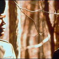 Bilder Rules - Sekunden der Entscheidung