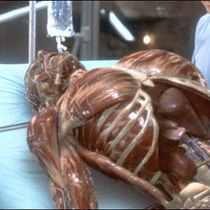 Bilder Hollow Man - Unsichtbare Gefahr