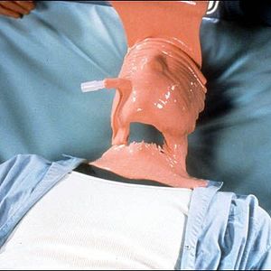 Bilder Hollow Man - Unsichtbare Gefahr