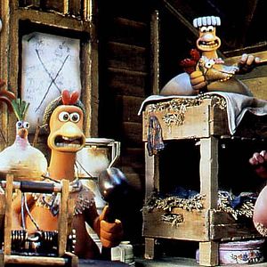 Bilder Chicken Run - Hennen Rennen