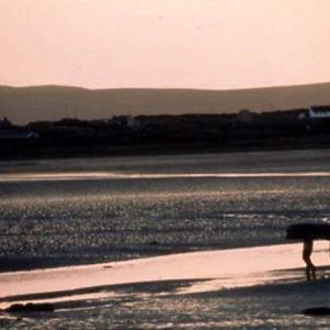 Bilder Fang die Braut