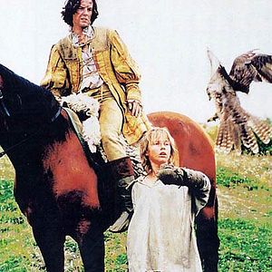 Bilder Der König der Falken