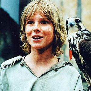 Bilder Der König der Falken