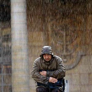 Bilder Patrick Timsit