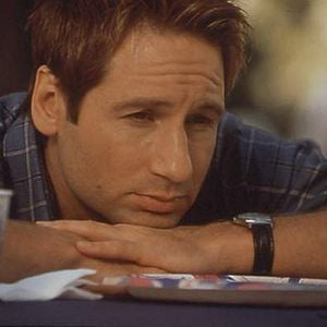 Bilder David Duchovny
