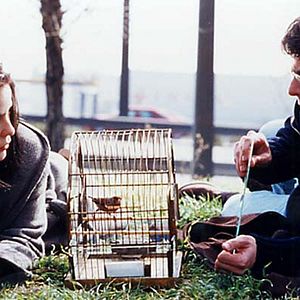 Bilder Silvia Abascal