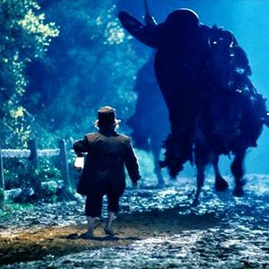 Bilder Der Herr der Ringe - Die Gefährten