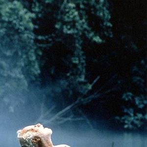 Bilder The Old Man Who Read Love Stories