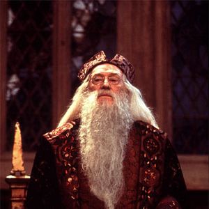 Bilder Harry Potter und der Stein der Weisen