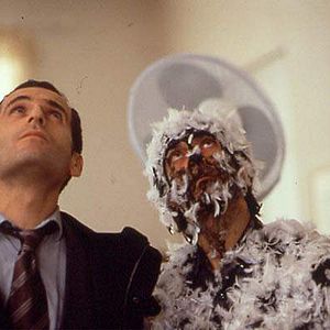 Bilder Antoine Chappey