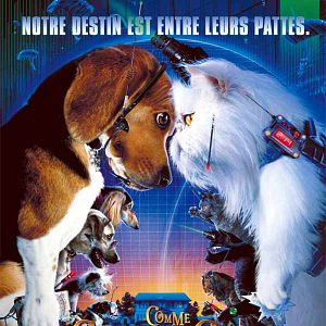 Bilder Lawrence Guterman