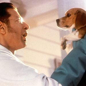 Bilder Lawrence Guterman