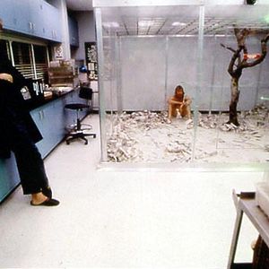 Bilder Human Nature - Die Krone der Schöpfung