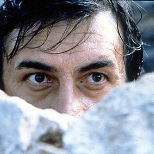 Bilder Danis Tanovic