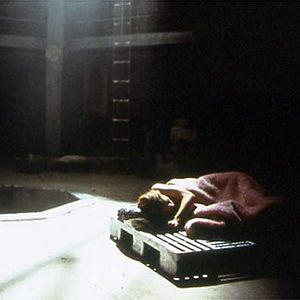 Bilder The Hole - Gefangen in der Dunkelheit