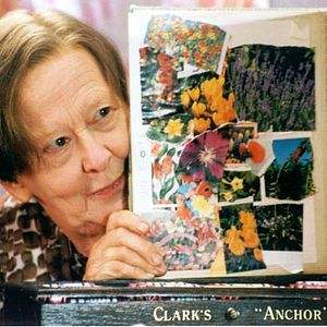 Bilder Lieven Debrauwer