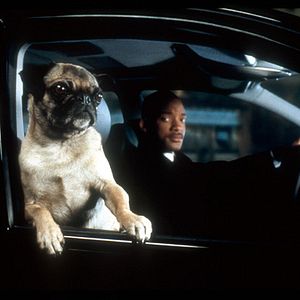 Bilder Men in Black 2