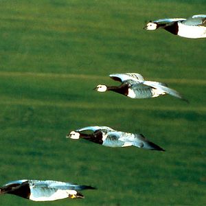 Bilder Michel Debats