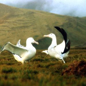 Bilder Michel Debats