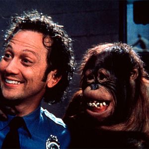 Bilder Rob Schneider