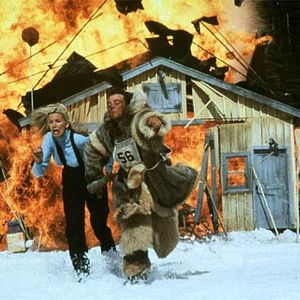 Bilder Elche, Eis und Erbschaftsärger