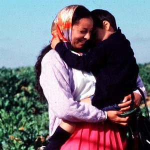 Bilder Fejria Deliba