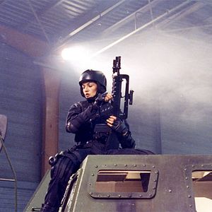 Bilder Das tödliche Wespennest