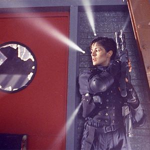 Bilder Das tödliche Wespennest