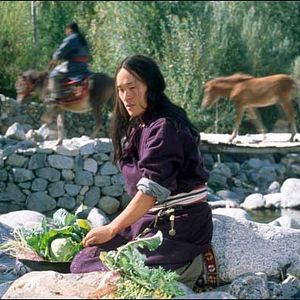 Bilder Samsara - Geist und Leidenschaft