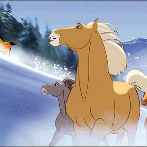 Bilder Spirit - Der wilde Mustang