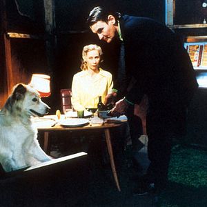 Bilder Markku Peltola