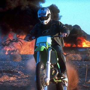 Bilder Ellory Elkayem