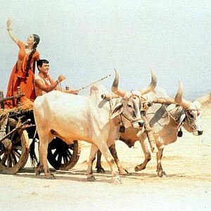 Bilder Lagaan - Es war einmal in Indien