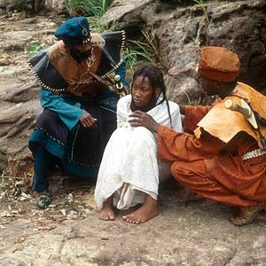 Bilder Sia - Der Traum der Python