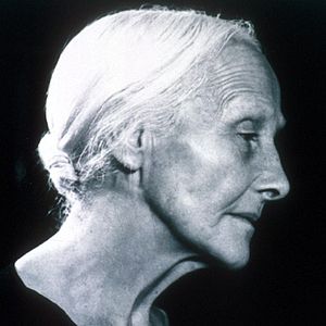 Bilder Catherine Samie