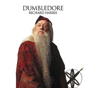 Bilder Harry Potter und die Kammer des Schreckens