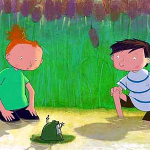 Bilder Das Geheimnis der Frösche