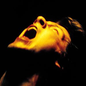 Bilder Zachary Knighton