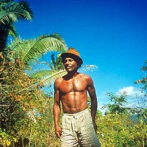 Bilder Romances de terre et d'eau