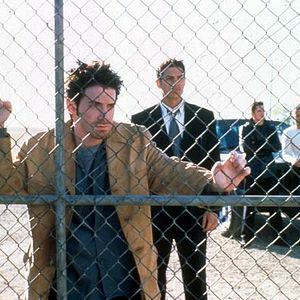 Bilder Andrew Davoli