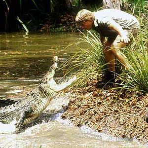 Bilder Crocodile Hunter - Auf Crash-Kurs