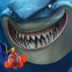 Bilder Findet Nemo