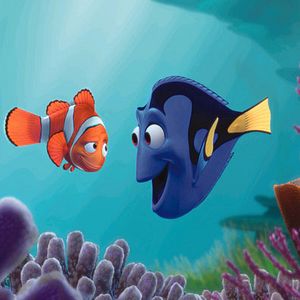 Bilder Findet Nemo